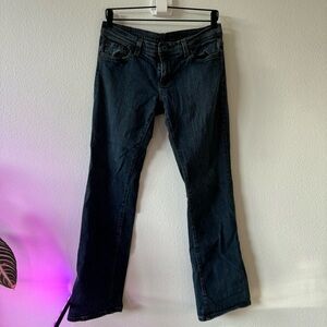 Polo Jean Company: Low Rise Dark Wash Women’s Straight Leg Jeans